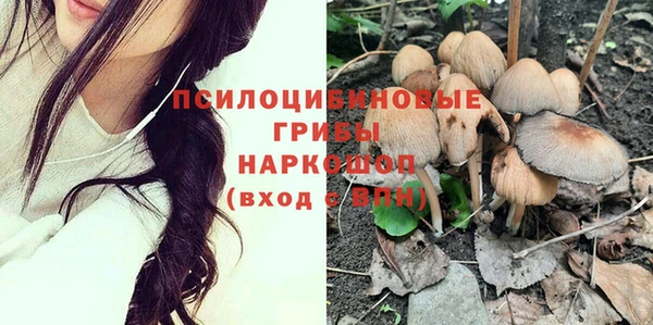 прущие крисы Алзамай