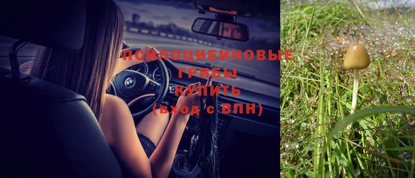 прущие крисы Алзамай