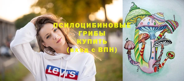спиды Абаза
