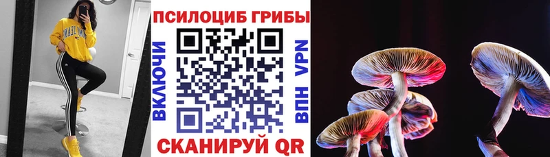 Галлюциногенные грибы Psilocybine cubensis  Шумерля 